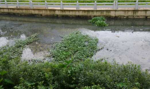 [廣東]河道清淤8寸立式泥漿泵，砂泵廠家直供