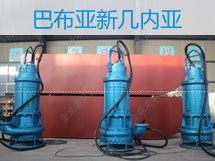 110千瓦潛水抽砂泵，漂洋過海到巴新